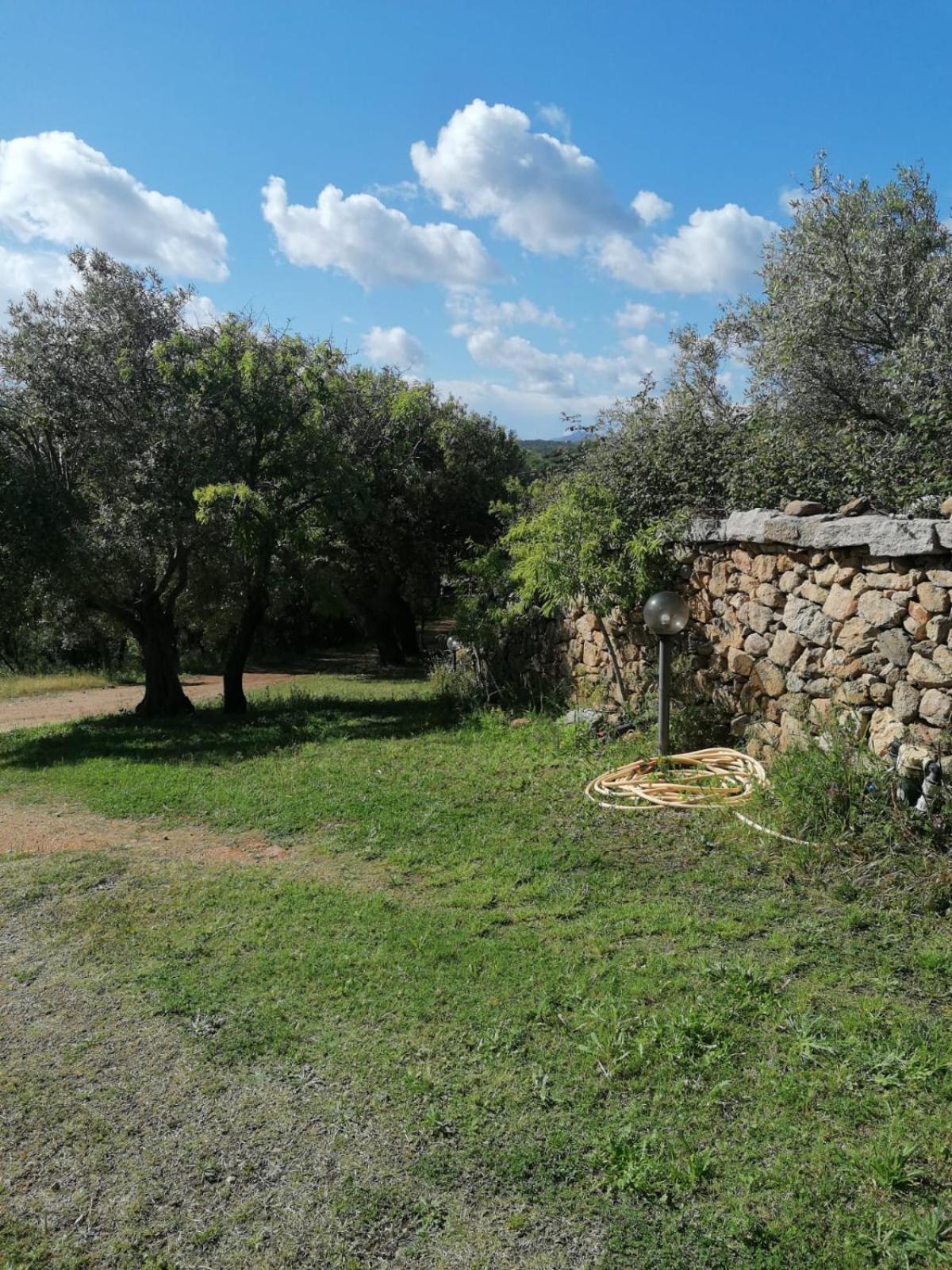 Casa Orecchioni Arzachena Dış mekan fotoğraf