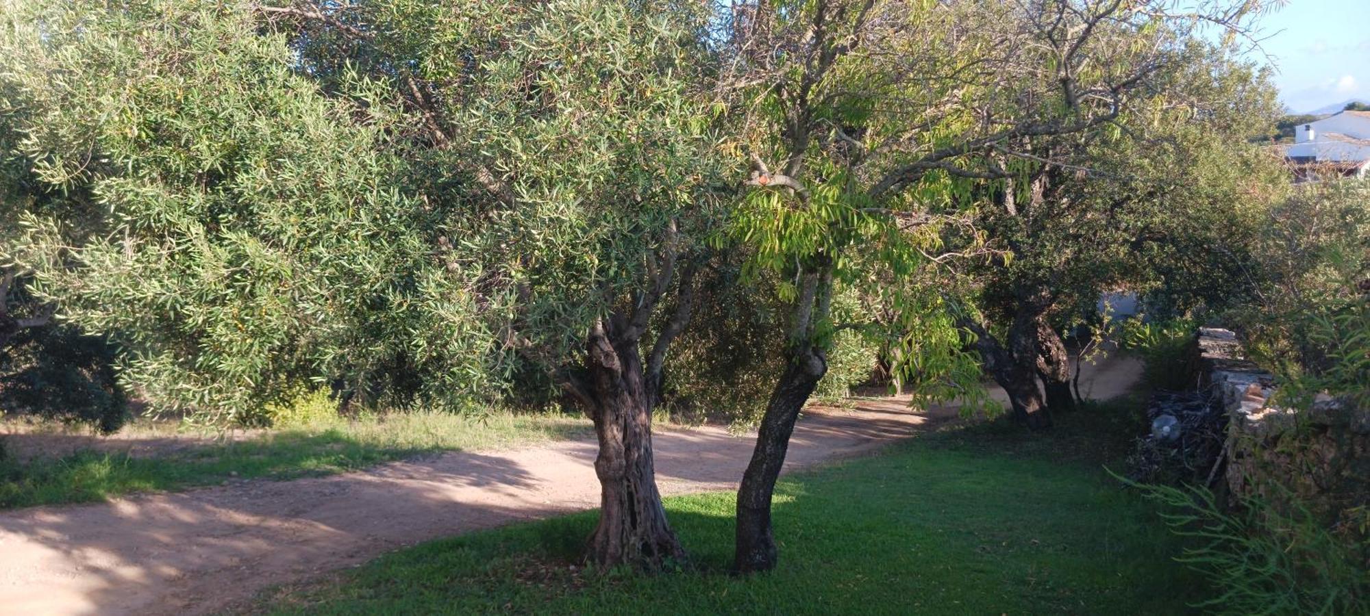 Casa Orecchioni Arzachena Dış mekan fotoğraf